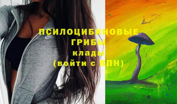 mdpv Краснотурьинск